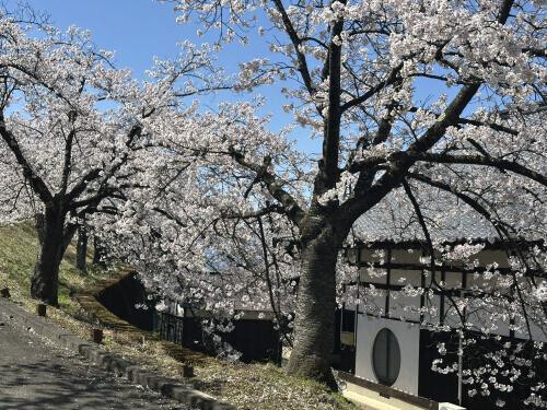 おはようございます