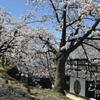 おはようございます