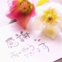🐸出勤しました🐸