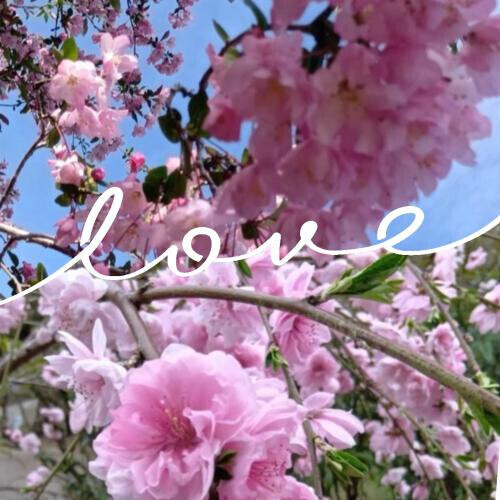 🌈Thank you for a happy day🌈