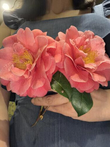 本日はありがとうございました❣️