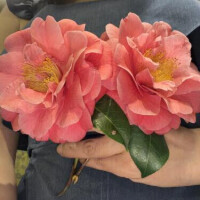 本日はありがとうございました❣️