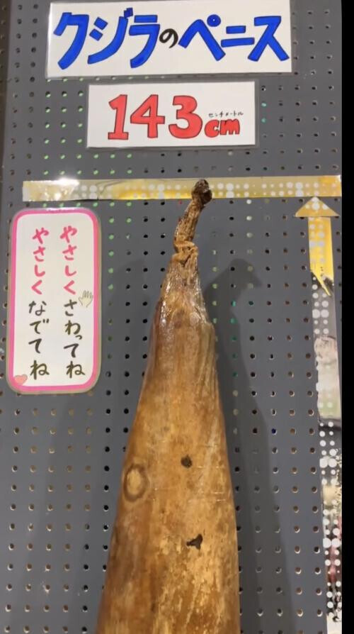 本日もありがとう