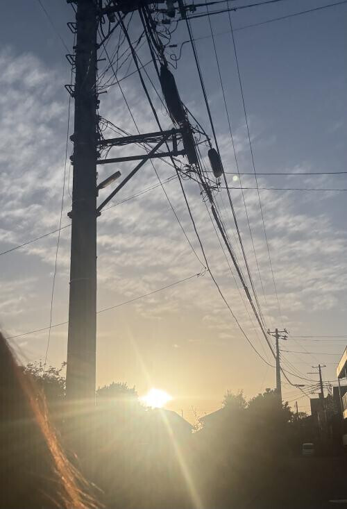 寝れなかった休日