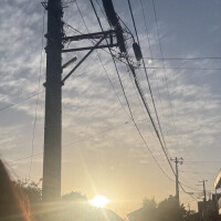 寝れなかった休日