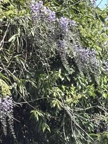 GW予定決まりました❤️4/24御礼