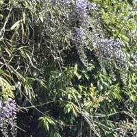 GW予定決まりました❤️4/24御礼