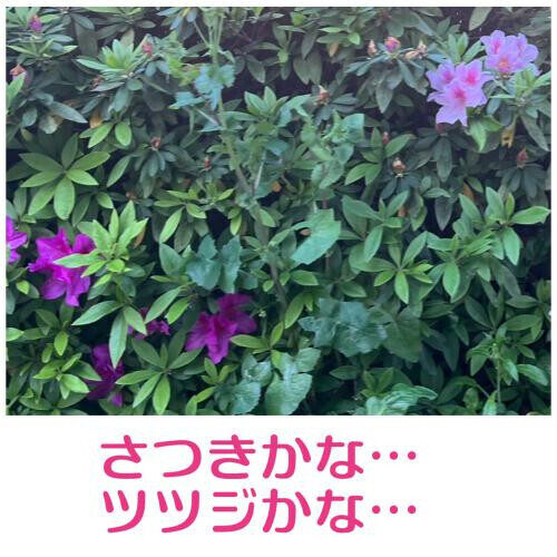 🍀お詫び🍀