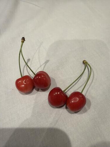 キス上手💋