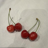 キス上手💋