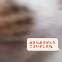 本日もありがとうございました?