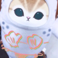こんにちは?