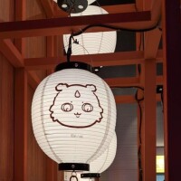 ごめんなさい?