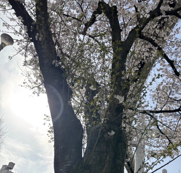 あなたの望みは&hellip;?？