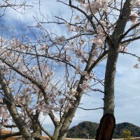にな