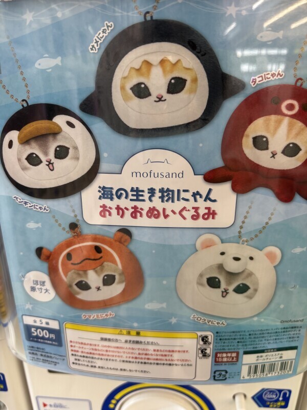 昨日のお礼?