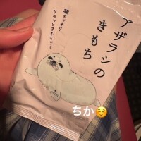 アザラシ??