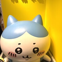 まき