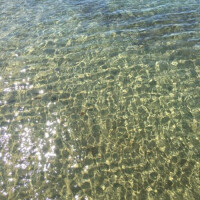 かれん
