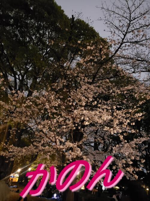 🌸4月🌸