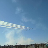 ♪今週の予定♪