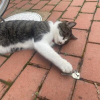 次回の出勤⸜(* ॑˘ ॑* )⸝