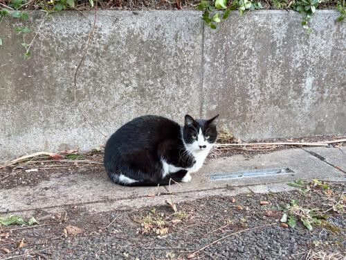 次回の出勤は来月⋆⸜(* ॑꒳ ॑* )⸝