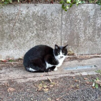 次回の出勤は来月⋆⸜(* ॑꒳ ॑* )⸝