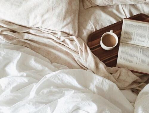 19日出勤キャンセルのお詫び🙇🏻‍♀️՞