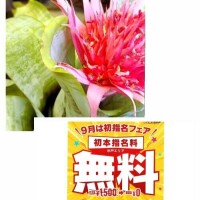 癒されました♡