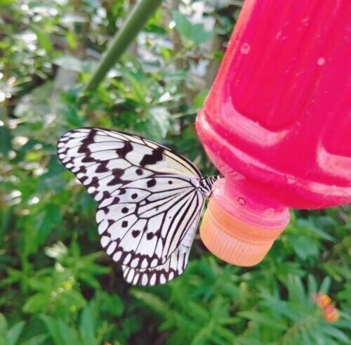 終わったあ