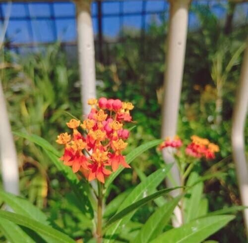 小休憩