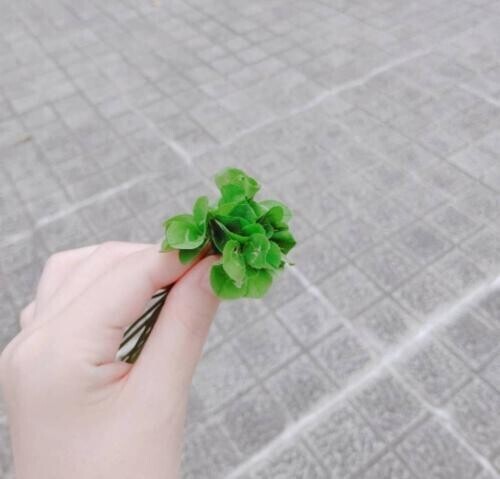 おはようございます♡