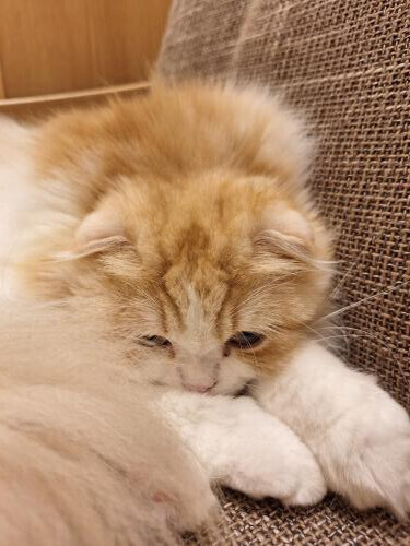 おはようございます😊