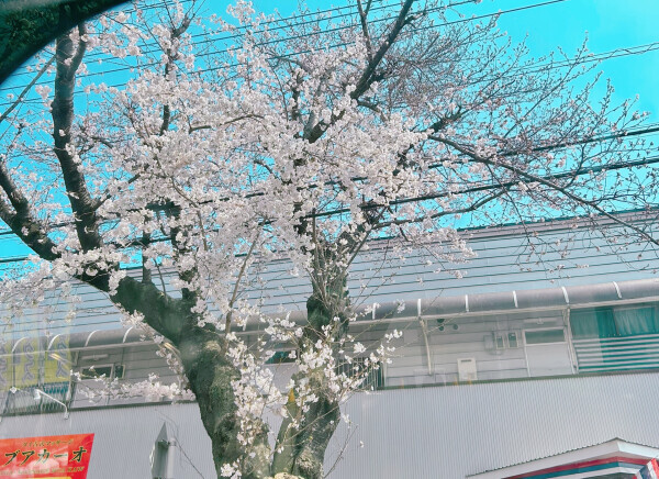 加工無しの...💕