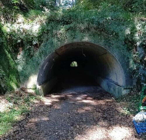 ちょっと寄り道…