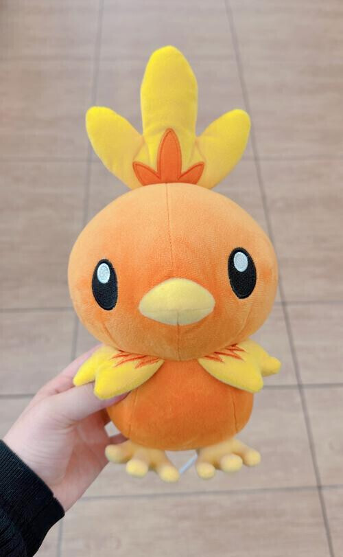 アチャモ♡♡♡