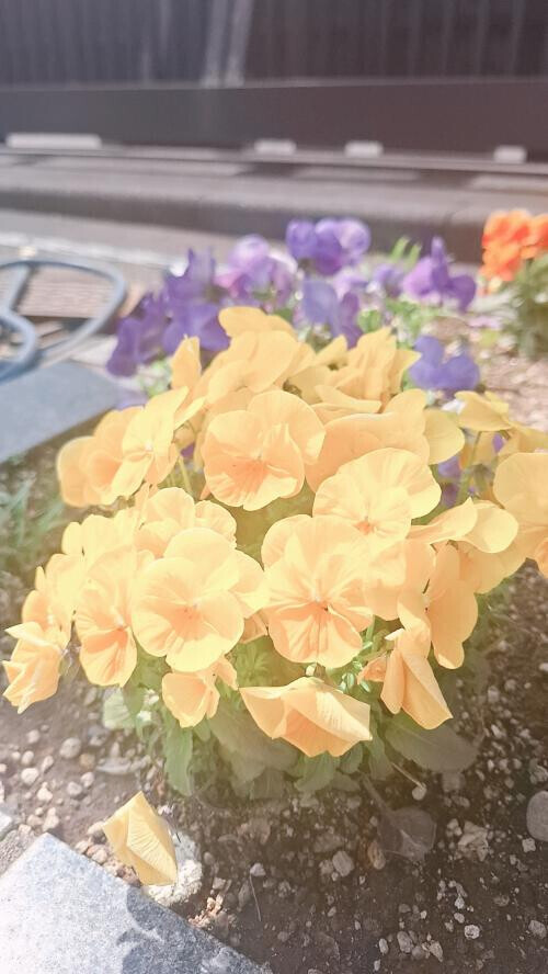 4.18 お礼💌