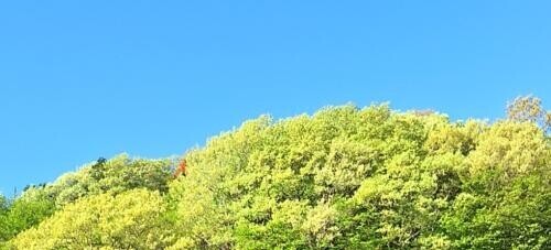 おはようございます☀︎