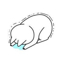 ほんとにごめんなさい