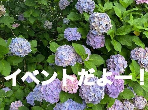 7月1日火曜日！
