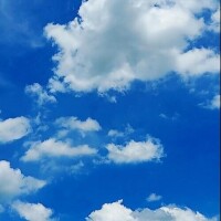 りほ