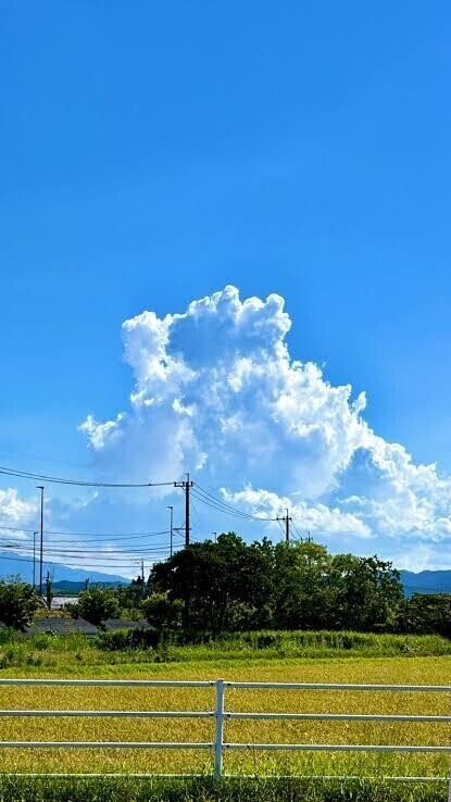 おはよう〜