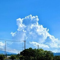 あみ