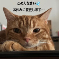 りりか