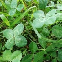 初めまして！のんです🍀