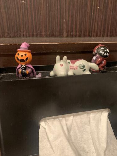 おはようございます^_^