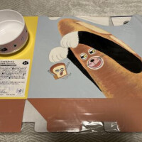 のんの推し活報告🍞