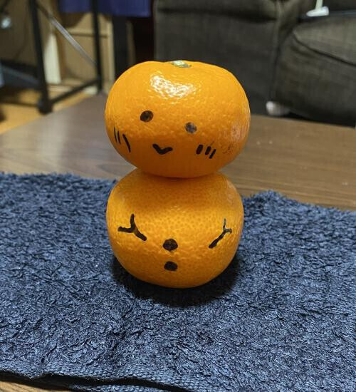 本日は体調が悪い為お休みします(. . `)