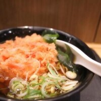 2月21日&2月22日　お礼❤︎